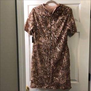 ❗️MOVING SALE ‼️Blush Sequin Dress